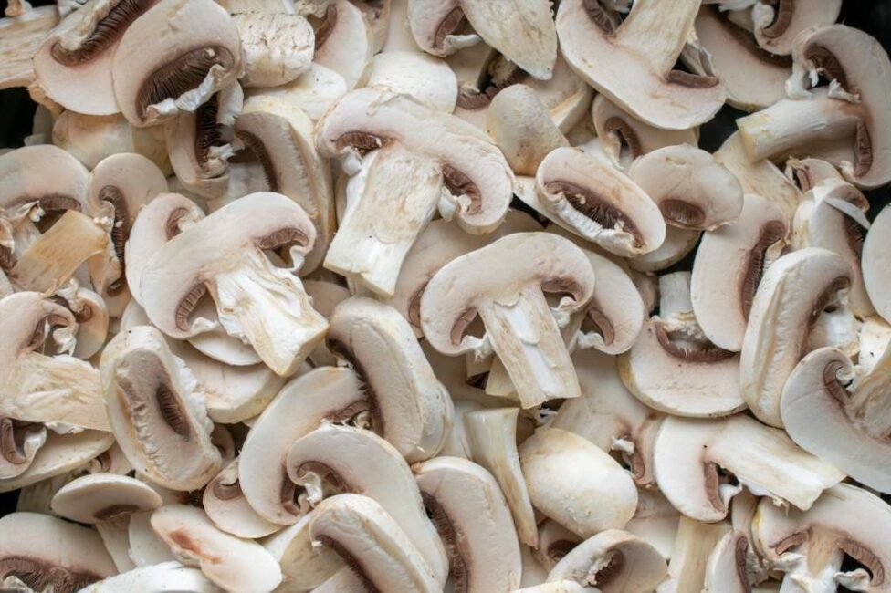 jak zrobić sos grzybowy z pieczarek